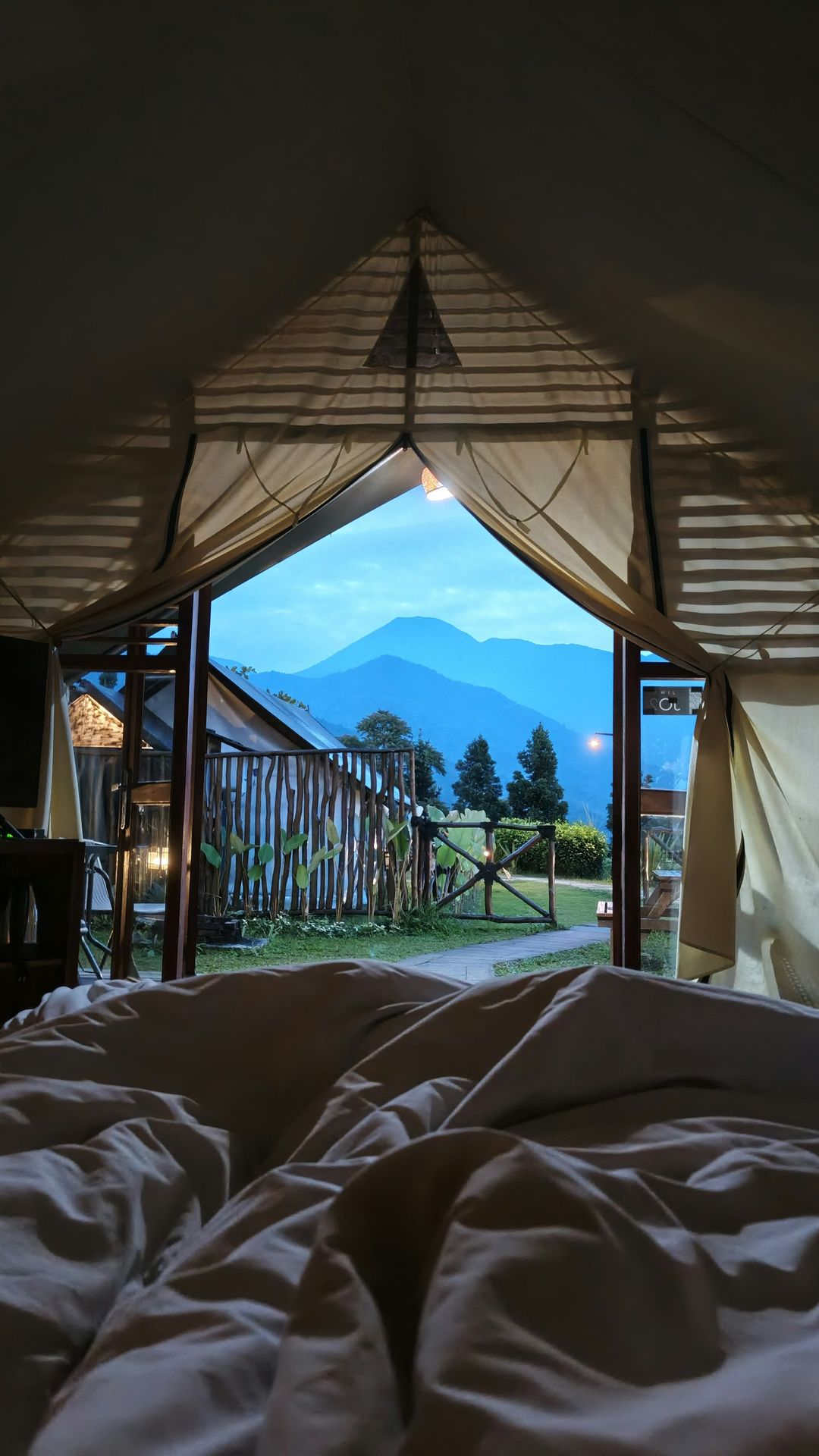 Morning from the bed
