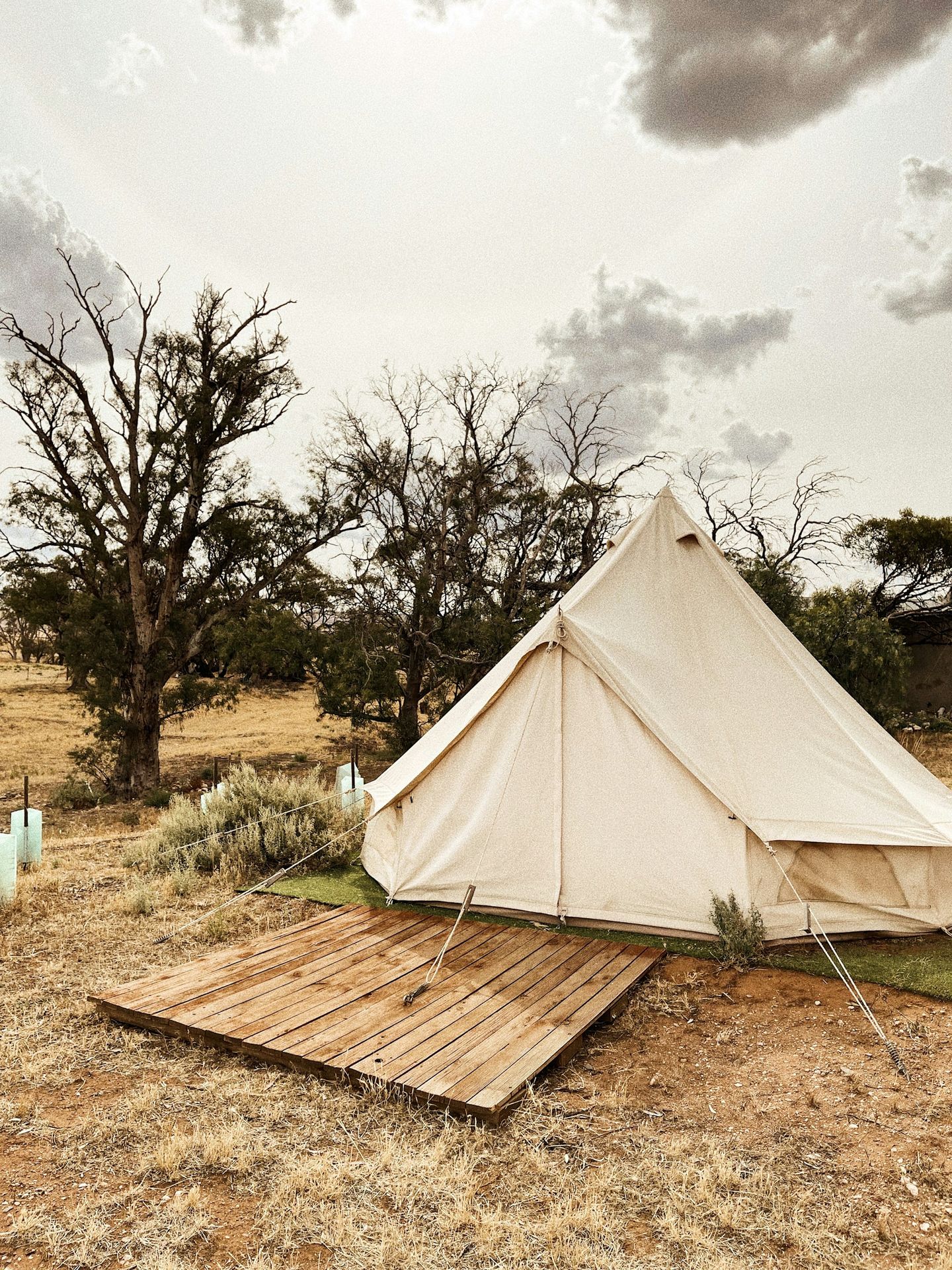 A suite on dry ground