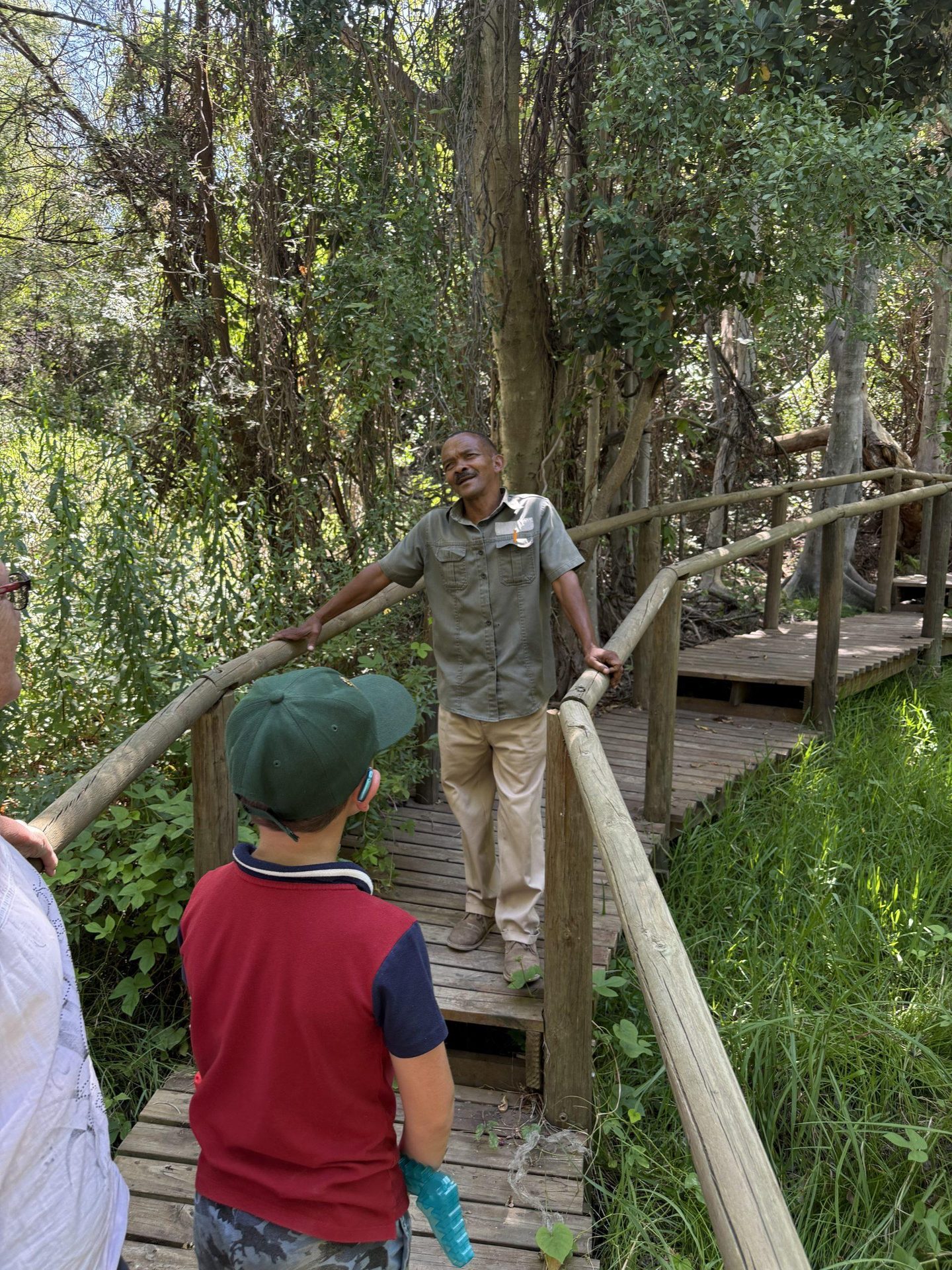 The ranger on the boardwalk under the figs