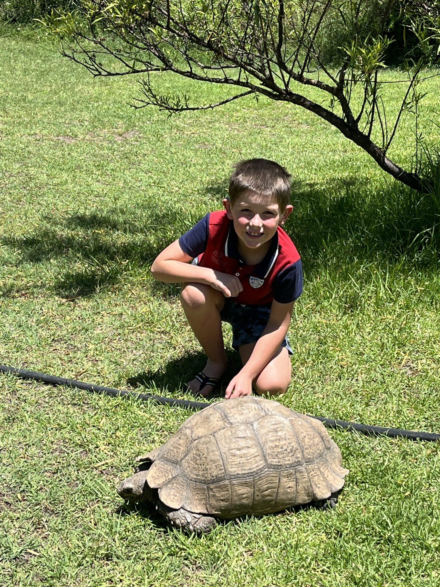 A tortoise older than everyone present