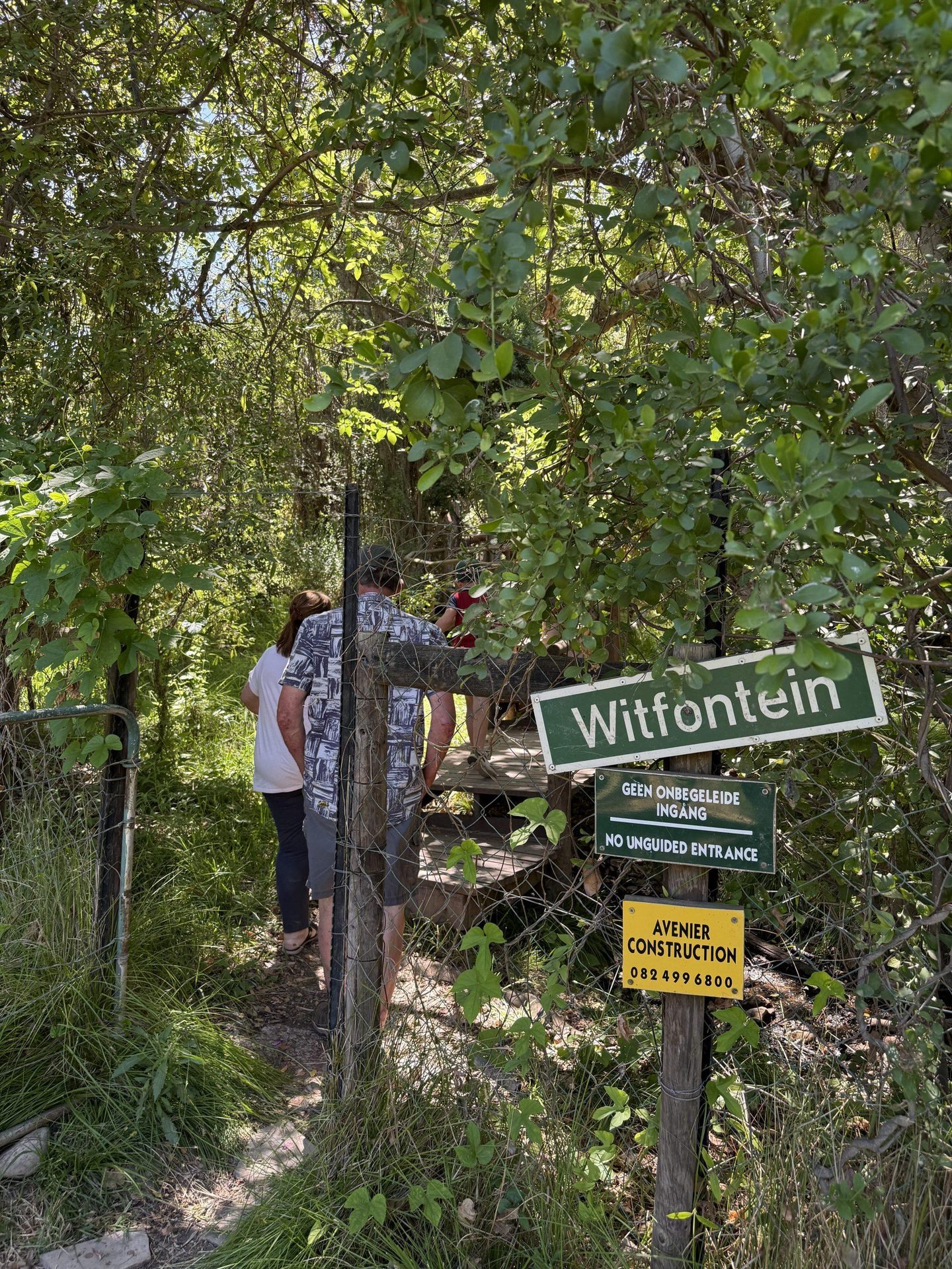 The gate at Witfontein under the wild figs