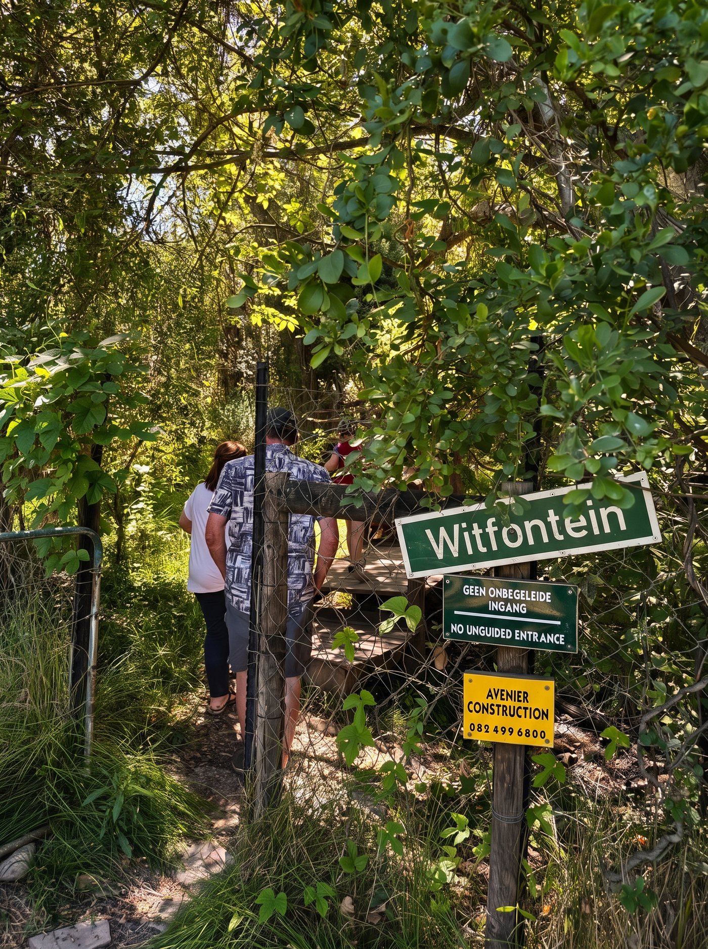 The gate at Witfontein under the wild figs