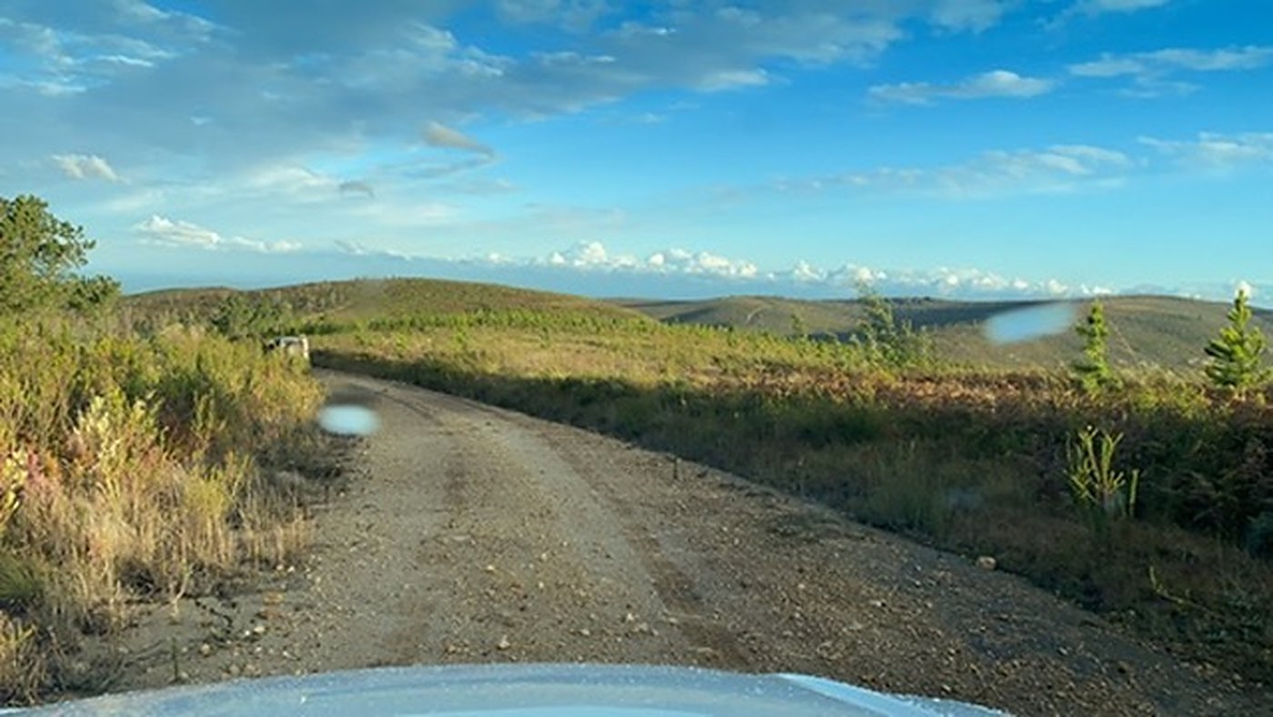 The forestry road behind Louvain, seen through the windscreen