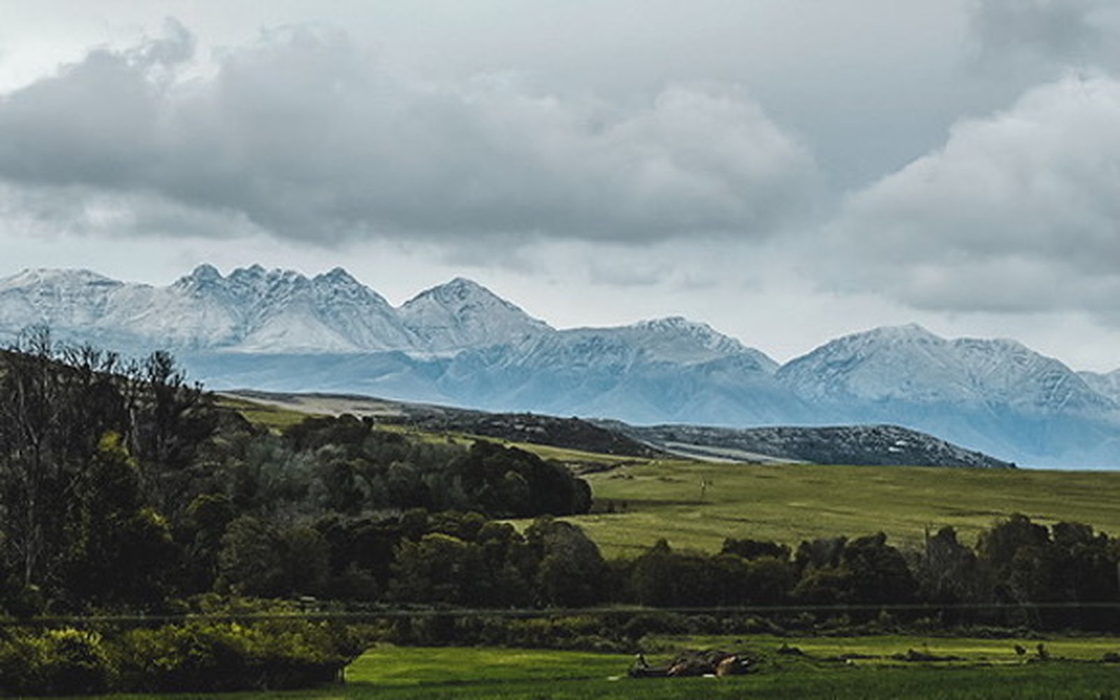 Snow on the Outeniqua peaks above green farmland