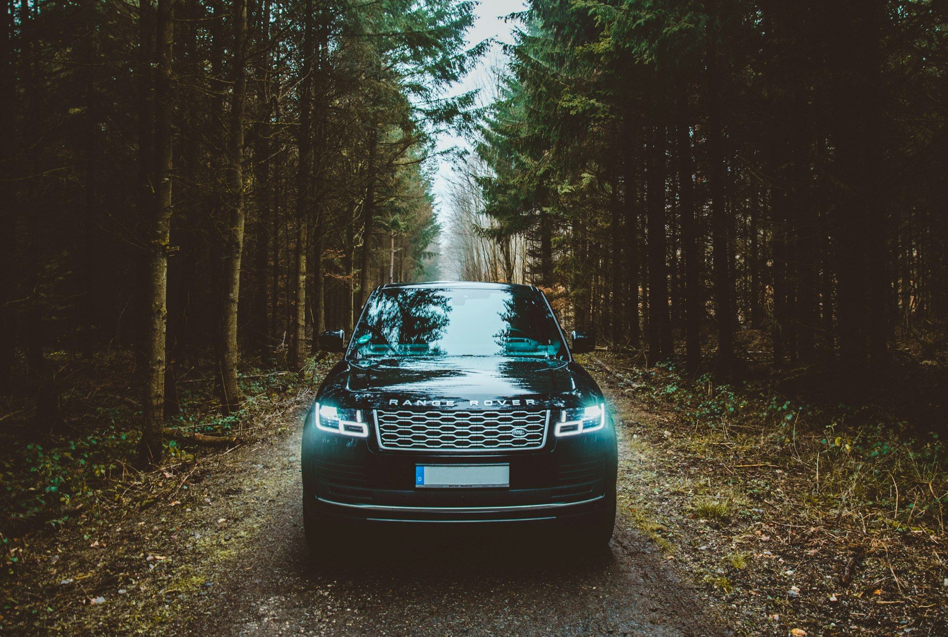 A factory-standard Range Rover on a forest track